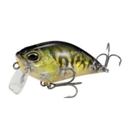 DUO Realis Crank 50 SSR Kabuki Gold Plate Tiger von der Seite
