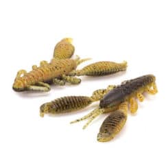 Detailaufnahme Reins Ring Craw 3