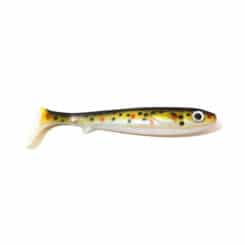 Flatnose Shad - Baby Smolt