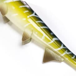 Hostagevalley Shad Pike Seitenansicht