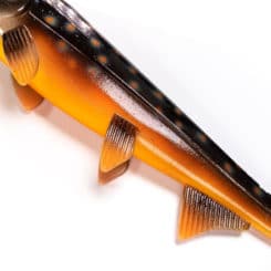 Hostagevalley Shad UV Saibling Seitenansicht