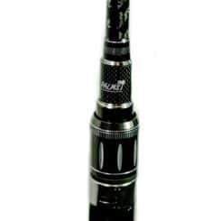 Palms Molla G. MGGC-67L2XF 