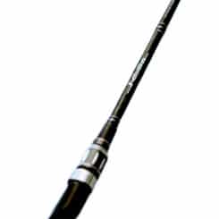 Palms Molla G. MGGC-67L2XF 