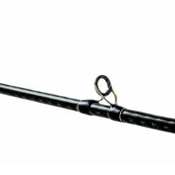 Palms Molla G. MGGC-67L2XF 