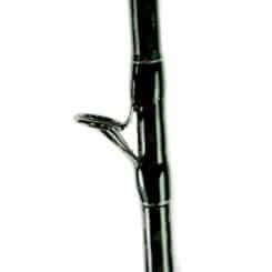 Palms Molla G. MGGC-67L2XF 