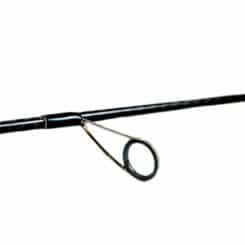 Palms Molla G. MGGS-73ML+2F Bank Fisher SIC-S Ringe