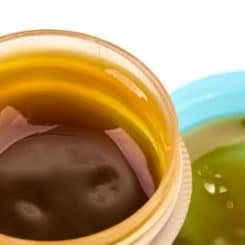 Scandex ReelX Rollenfett Tube