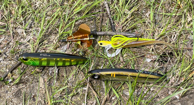 Topwater-Angeln mit A-Game Fishing