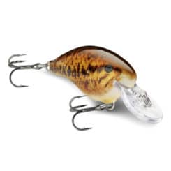 rapala dt 6 dives to crankbait