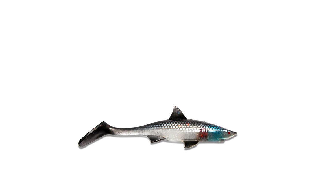 Shark Shad Köder